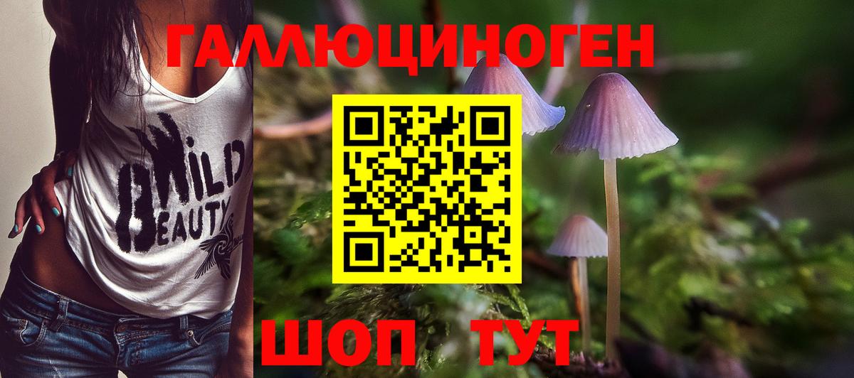Псилоцибиновые грибы MAGIC MUSHROOMS Гусь-Хрустальный