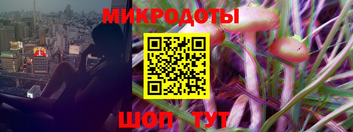 Гусь-Хрустальный  купить наркотики сайты  Галлюциногенные грибы ЛСД  Вход с VPN  Галлюциногенные грибы Cubensis 
